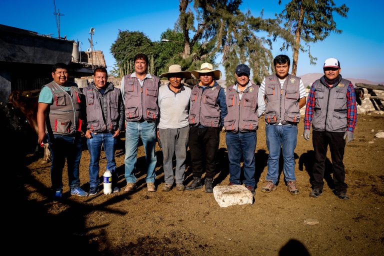 CAMPAÑA DE DOSIFICACIÓN Y VITAMINIZACIÓN DEL PROYECTO BOVINO DE LA MUNICIPALIDAD DISTRITAL DE UCHUMAYO