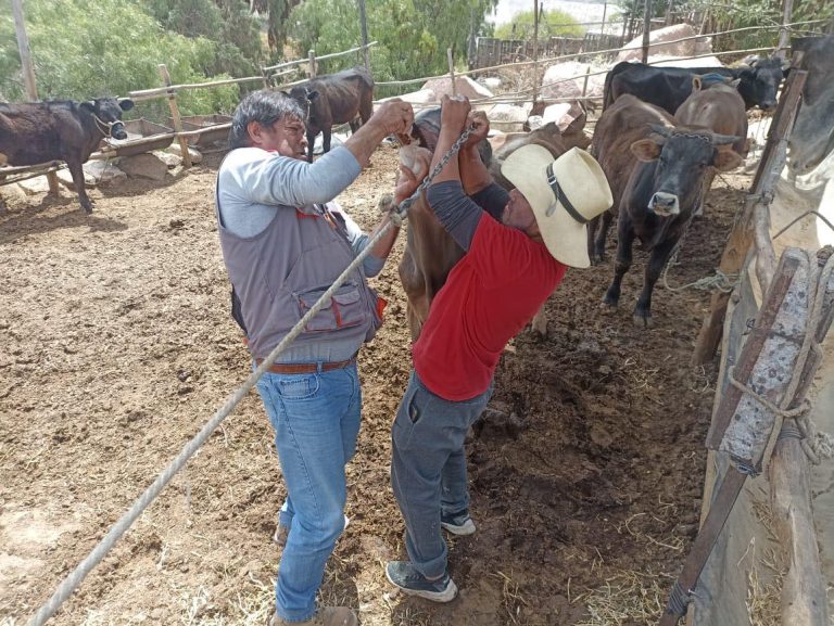 Asistencias técnicas en distintos puntos del distrito